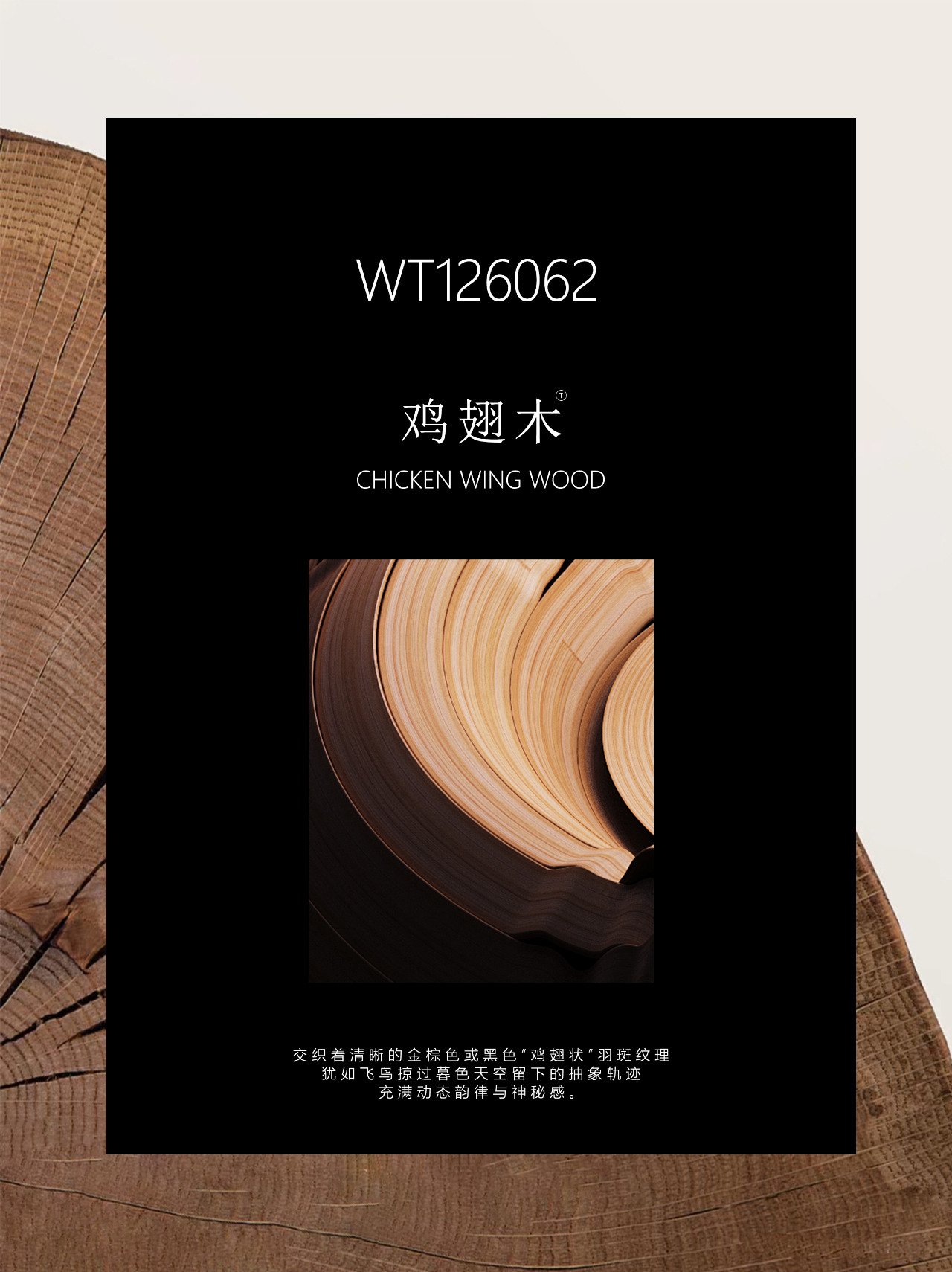 1768881054136109.jpg 0 (1).jpg